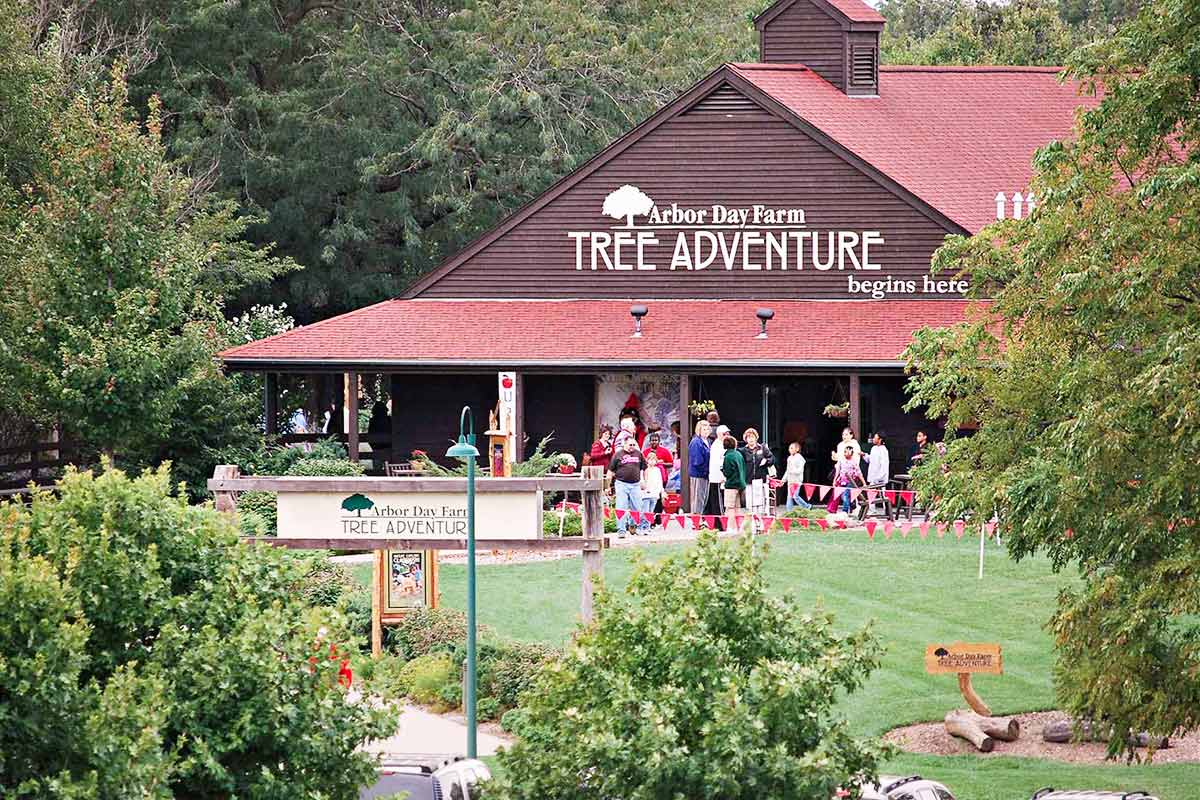 Arbor day tree adventure lodge with people and trees surrounding the area