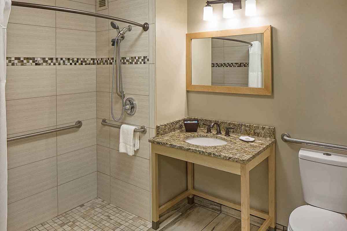 an accessible guest bathroom with a shower and rails, toilet, sink and a vanity with bright lighting