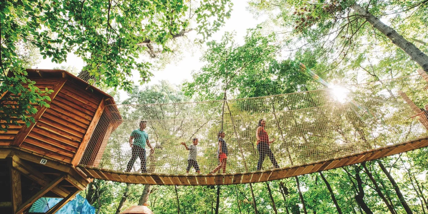 A group of individuals crossing a suspension bridge in a serene woodland setting.